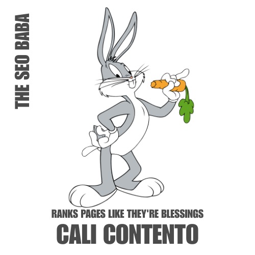 The SEO Baba
